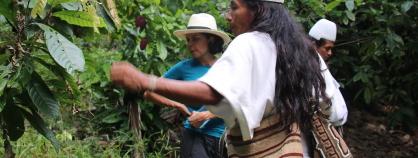 Arhuaco Mochilas